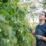 Addressing Food Insecurity Through Urban Agriculture