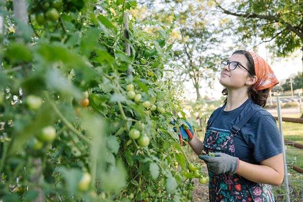 Addressing Food Insecurity Through Urban Agriculture Addressing Food Insecurity Through Urban Agriculture
