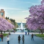 College Openings Update – National Association for College Admission Counseling (NACAC)